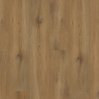 Gelasta Callisto 4100 Dryback Natural Oak Dark