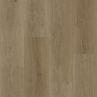 Bodiax BP500 Thor Hydro-core Click 533 Selenite