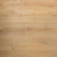 Douwes Dekker Elegant Basilicum