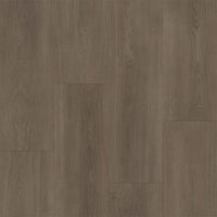 Bodiax BP590 Royal 592 Majestic