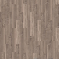 mFLOR Broad Leaf 41817 Smoky Sycamore