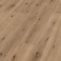 Meister LL 150 6843 - Veldeik Licht