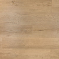 Douwes Dekker Ambitieus Klik Riante Plank Gemberkoek