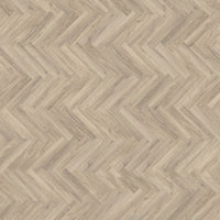 mFLOR Parva Oak 41219 Sardinia