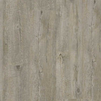 Gerflor Virtuo 30 1100 Mikado