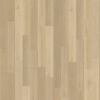 Belakos Borgo Rigid Click 310