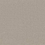 Tapijt met een fijne, dichte structuur in licht taupe kleur, egale en zachte uitstraling zonder zichtbaar patroon.