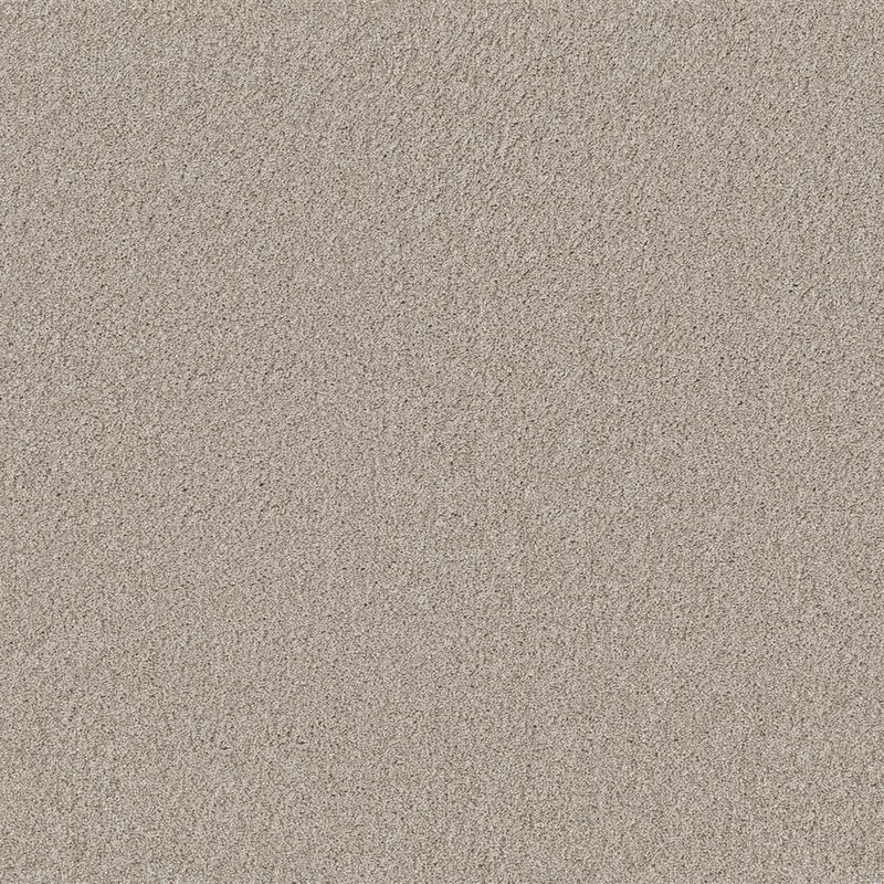Tapijt met een fijne, dichte structuur in licht taupe kleur, egale en zachte uitstraling zonder zichtbaar patroon.