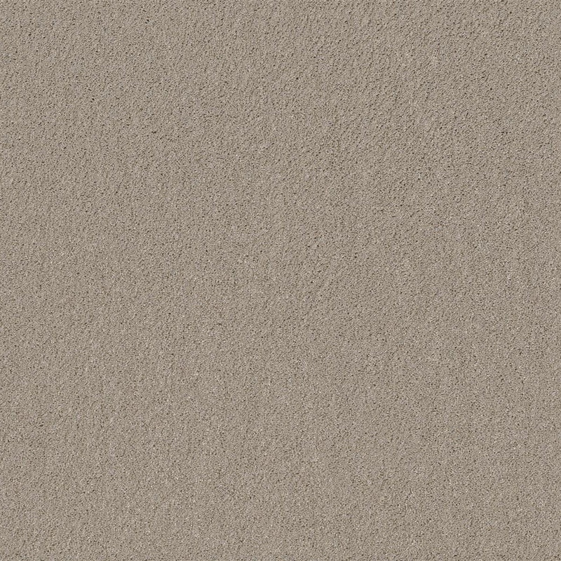 Beige ondervloer met fijne, gelijkmatige korrelstructuur en zachte matte afwerking.