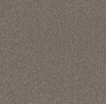 taupe tapijt met fijne, dichtgeweven structuur en zachte uitstraling