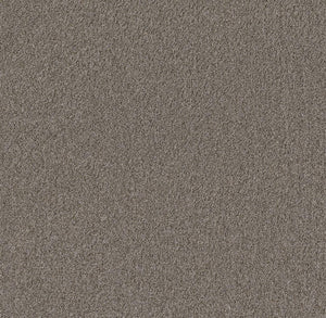 taupe tapijt met fijne, dichtgeweven structuur en zachte uitstraling
