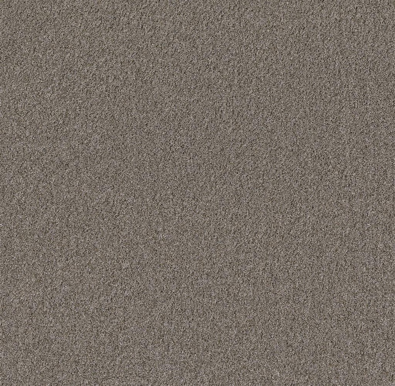 taupe tapijt met fijne, dichtgeweven structuur en zachte uitstraling
