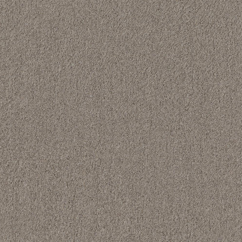 tapijt met fijne, dicht geweven structuur in een effen taupe kleur, zacht en egaal oppervlak zonder patroon