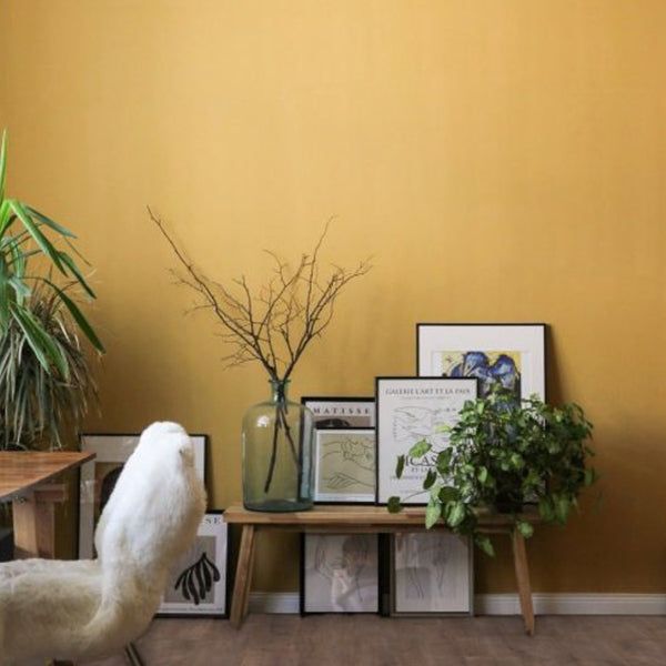 Hoomline Royal XL V2