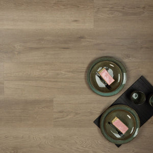 Douwes Dekker Ambitieus Riante Plank