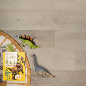 Douwes Dekker Ambitieus Klik Riante Plank