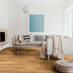 2022-12-02_08-40-47_Yzc2RDQ4SUtEdFh4clRkQTVzQXVOTXppSEVzd1VVTnM