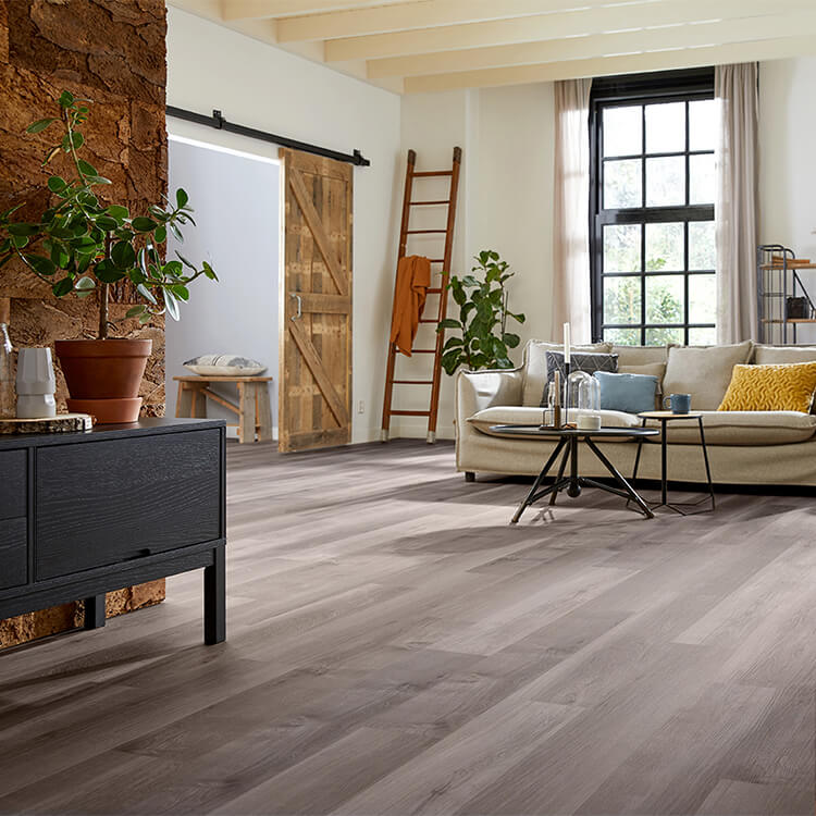 2022-12-21_08-03-45_TXUzcUhNT0JMcFBMbkhVTlZhbXJaV1BZajU0YjRKYWM