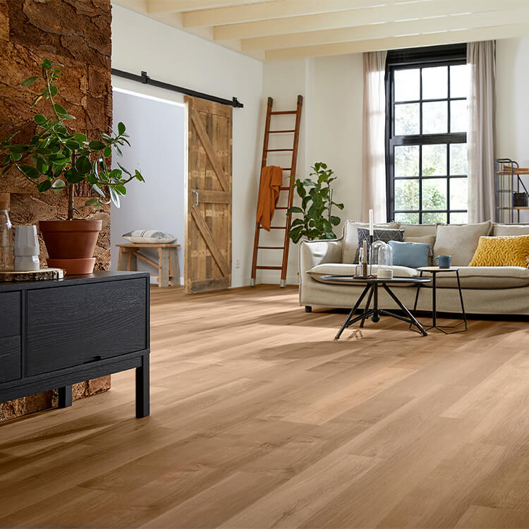 2022-12-21_08-03-51_VmZJcGhwblF5OUZoVWc2bElSOTZXMkxXT1NaMVVFZ3M