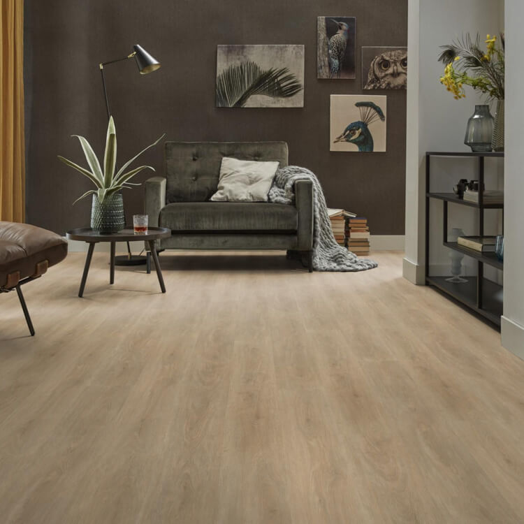 2022-12-22_08-31-03_ZmJIbHFDWlpUMEdCdHRZM1FiUU82OE9qdnM3R0VMbUk