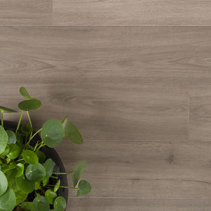 Douwes Dekker Solide Plank