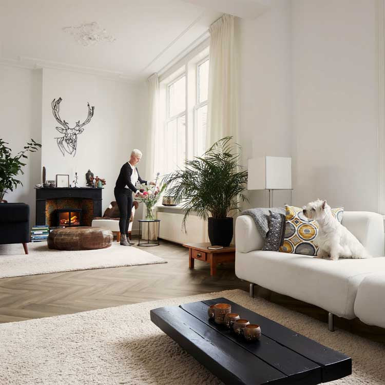 2024-07-19_08-46-56_and3d3VjWnc4WW9GSFFnN3FJSGhnUG5McjRiOW5oSm8