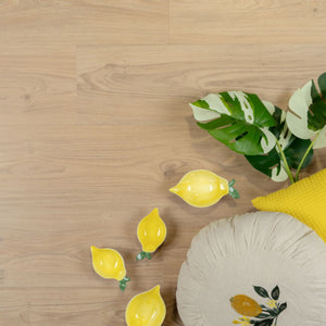 Douwes Dekker Ambitieus Klik Riante Plank