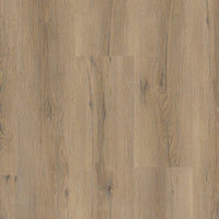 Gelasta City 4600 Dryback Smoked Oak Light