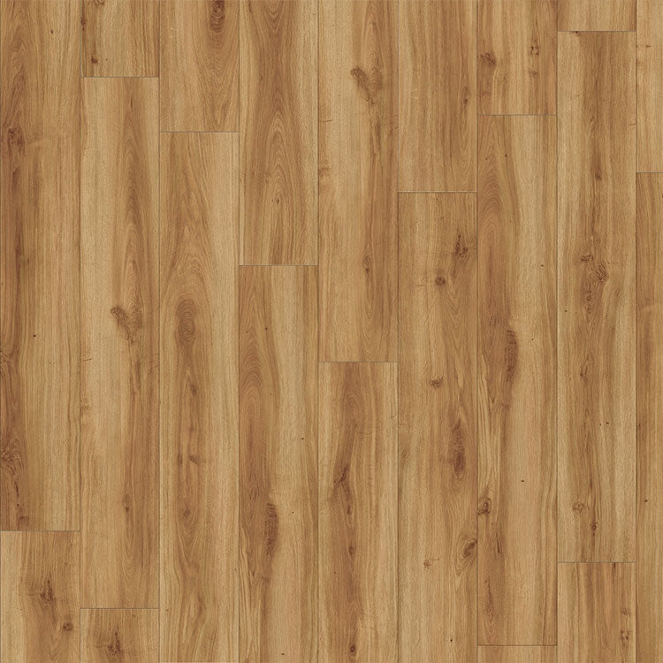 Moduleo Roots