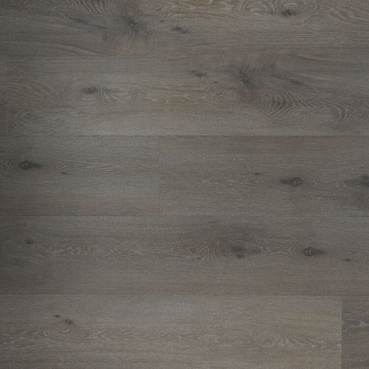 Douwes Dekker Ambitieus Klik Riante Plank