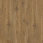 Gelasta Callisto