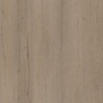 Ambiant Venera Click