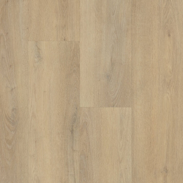 Belakos Palazzo Rigid Click