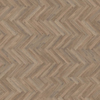 mFLOR Parva Oak 41213 Calabria