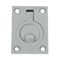 Luikring rond RVS 48x62 mm