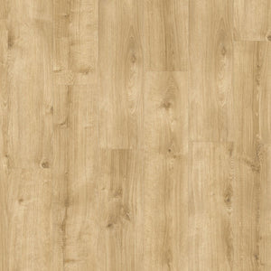 Moduleo Roots