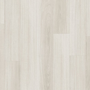 Moduleo Roots