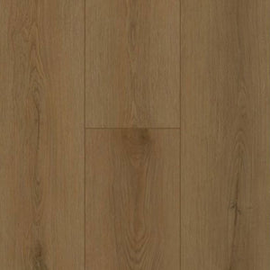 Gelasta Firmfit