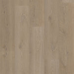 Bodiax BP500 Thor Hydro-core Click