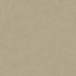 Bodiax BP565 Rock Hydro-core Click