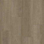 Bodiax BP370 Estrela