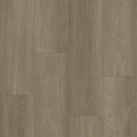 Bodiax BP370 Estrela 123 Ash