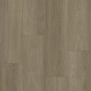 Bodiax BP370 Estrela