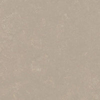 Forbo Marmoleum Concrete 3708 Fossil