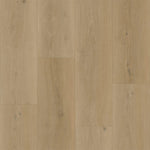 Bodiax BP500 Thor Hydro-core Click