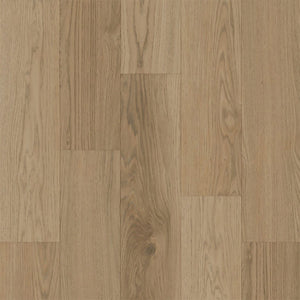 Bodiax BP370 Estrela