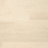 Douwes Dekker Ambitieus Klik Riante Plank Peperkoek