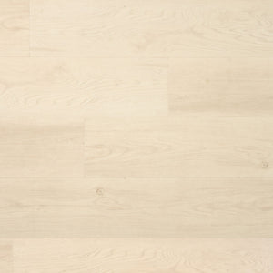 Douwes Dekker Ambitieus Klik Riante Plank