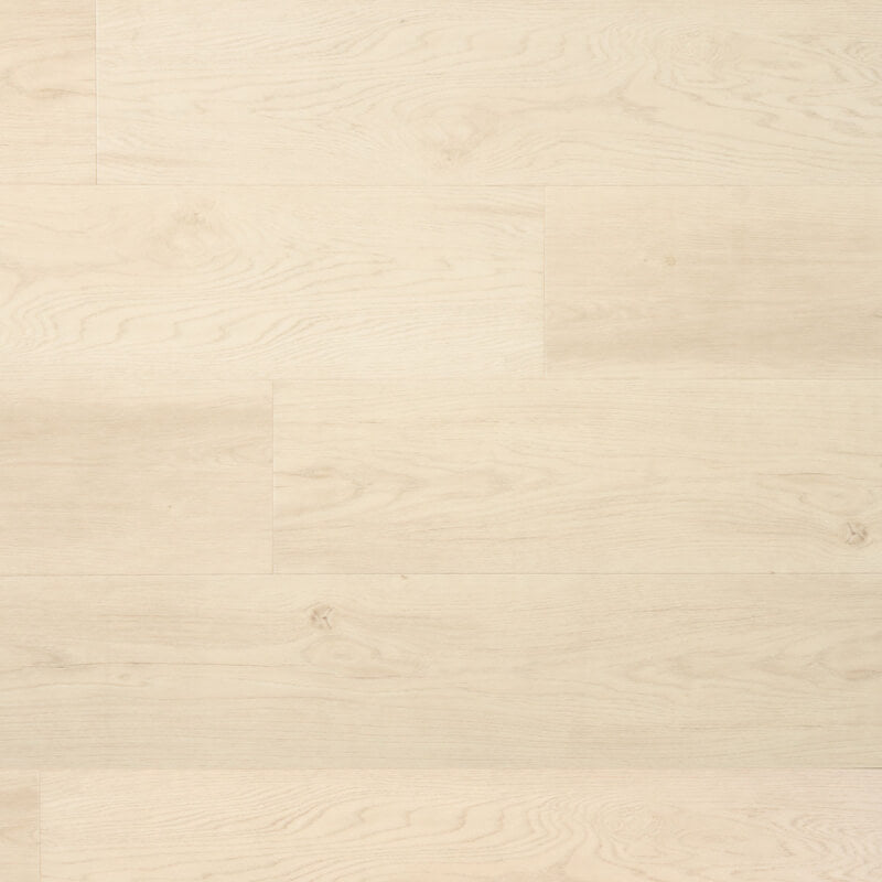 Douwes Dekker Ambitieus Klik Riante Plank