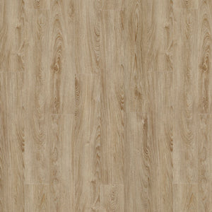 Moduleo Roots